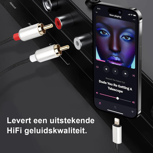 Delmark Lightning naar RCA Audiokabel – Vergulde Connectoren – 2 Meter - Zwart