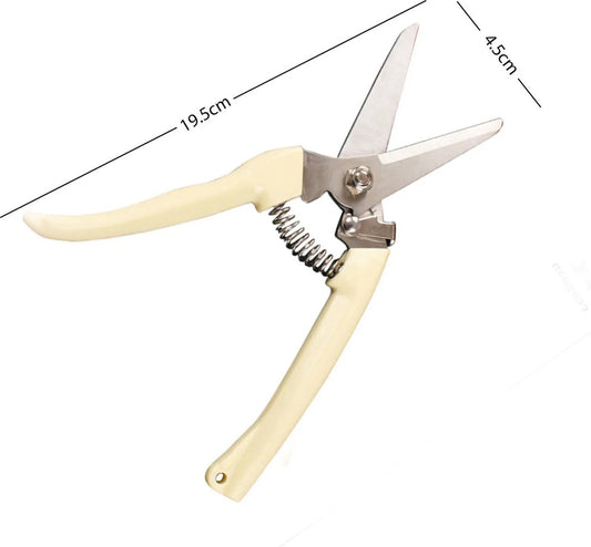 Rosenschere Edelstahl - Gartengerät - Ideal für Blumen und Pflanzen - Schneiden und Trimmen - 19,3 * 4.8cm
