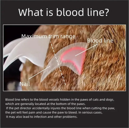 Huisdier nagelknipper - LED lampje - Opvangbakje - Honden nagelknipper - Veilig Knippen - RVS - Wit