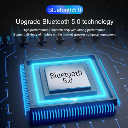 Delmark Bluetooth Ontvanger - BT 5.0 Receiver - 3.5mm AUX jack en RCA uitgang - HiFi Stereo Adapter - Bluetooth naar Aux - Bluetooth naar RCA