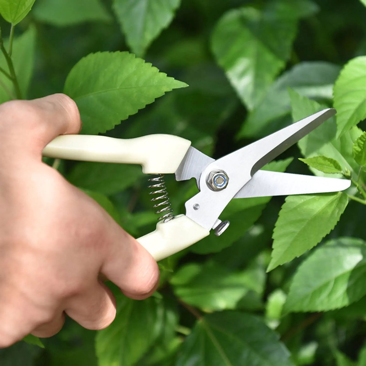 Snoeischaar roestvrijstaal - Tuingereedschap - Ideaal voor Bloemen en Planten - Snoeien en trimmen - 19,3 * 4.8cm