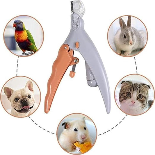 Huisdier nagelknipper - LED lampje - Opvangbakje - Honden nagelknipper - Veilig Knippen - RVS - Wit