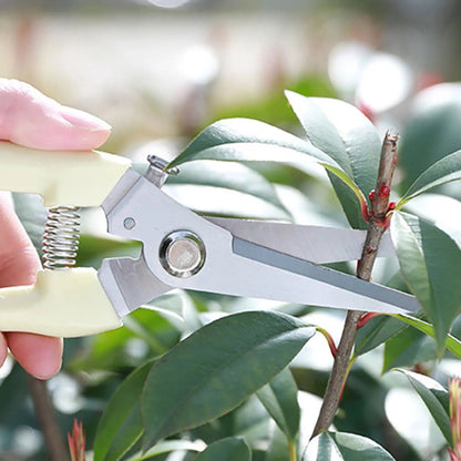 Snoeischaar roestvrijstaal - Tuingereedschap - Ideaal voor Bloemen en Planten - Snoeien en trimmen - 19,3 * 4.8cm
