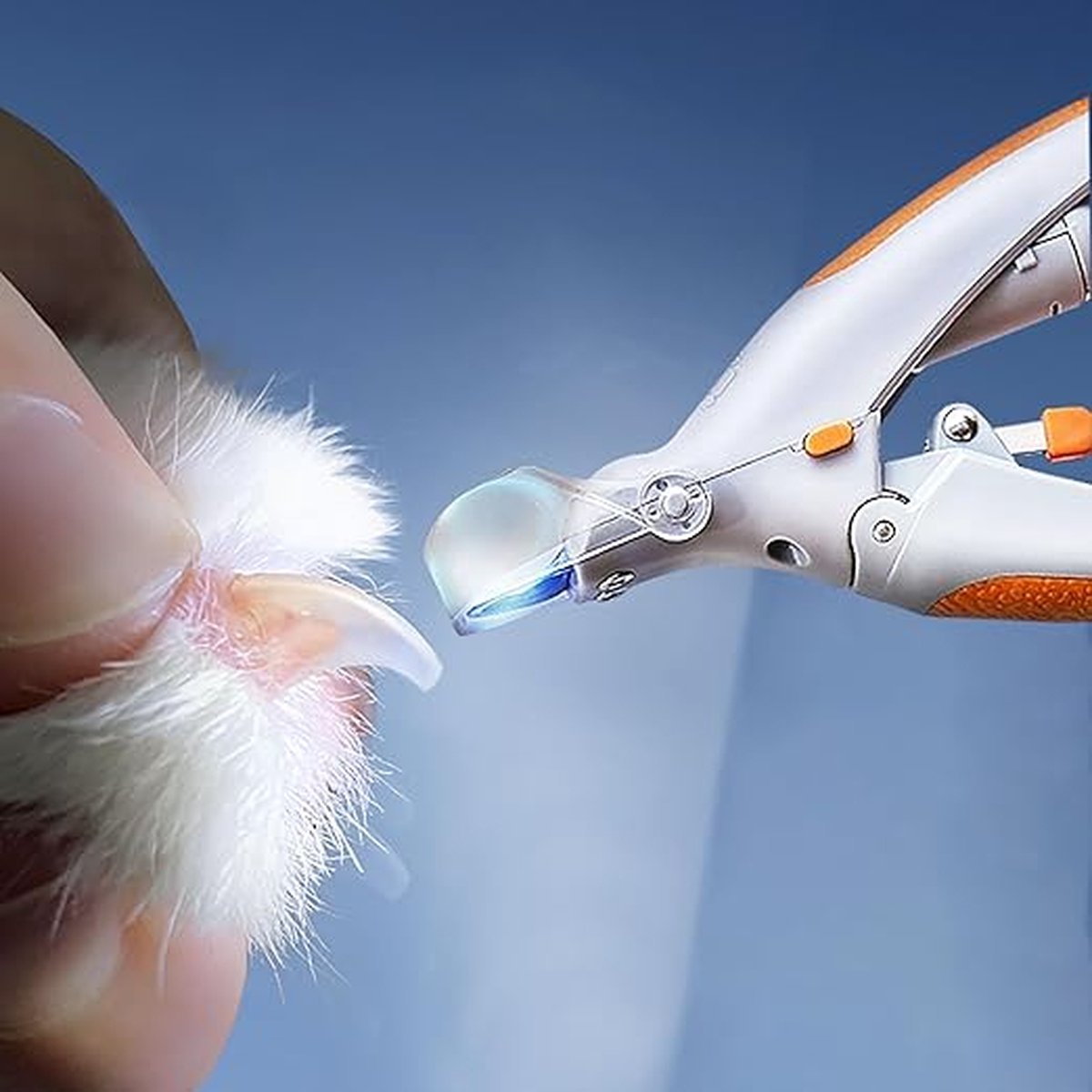 Huisdier nagelknipper - LED lampje - Opvangbakje - Honden nagelknipper - Veilig Knippen - RVS - Wit