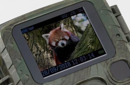 Technaxx TX-117 draadloze mini wildcamera, beveiligingscamera fullHD 1080p met display, nachtzicht en bewegingssensor