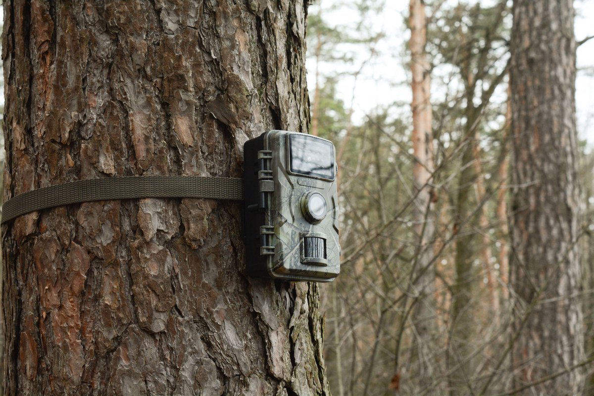 Technaxx Wildcam - 1080p Full HD - 20MP - Bewegingssensor - Nachtzicht - Batterijgevoed - Voor Buiten en Binnengebruik