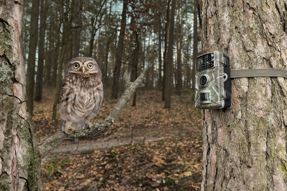 Technaxx Wildcam - 1080p Full HD - 20MP - Bewegingssensor - Nachtzicht - Batterijgevoed - Voor Buiten en Binnengebruik