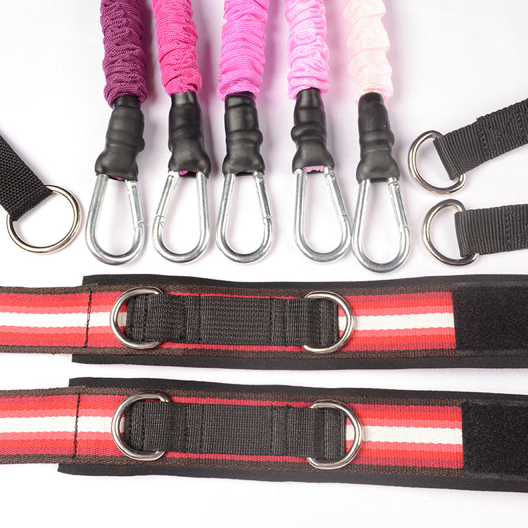 FDW AS8110 Set of ten resistance bands - With bag