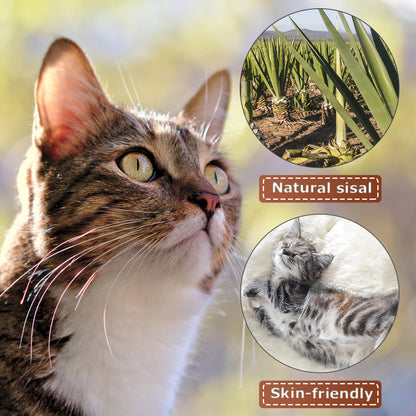 BestPet CT-T154-BROWN Kattenboom voor katten - Speelhuis - Met hangmat - Bruin
