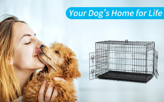 BestPet TY-PC600-Black Hondenkennel - 106x76x68 cm - Dubbele deuren - Opvouwbaar - Zwart