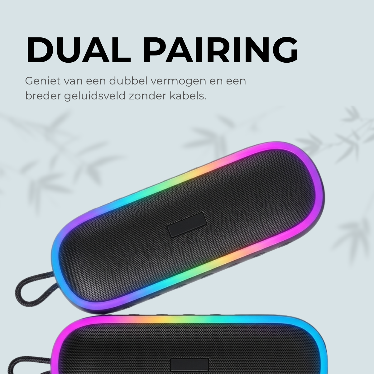 Delmark Draadloze Bluetooth Speaker