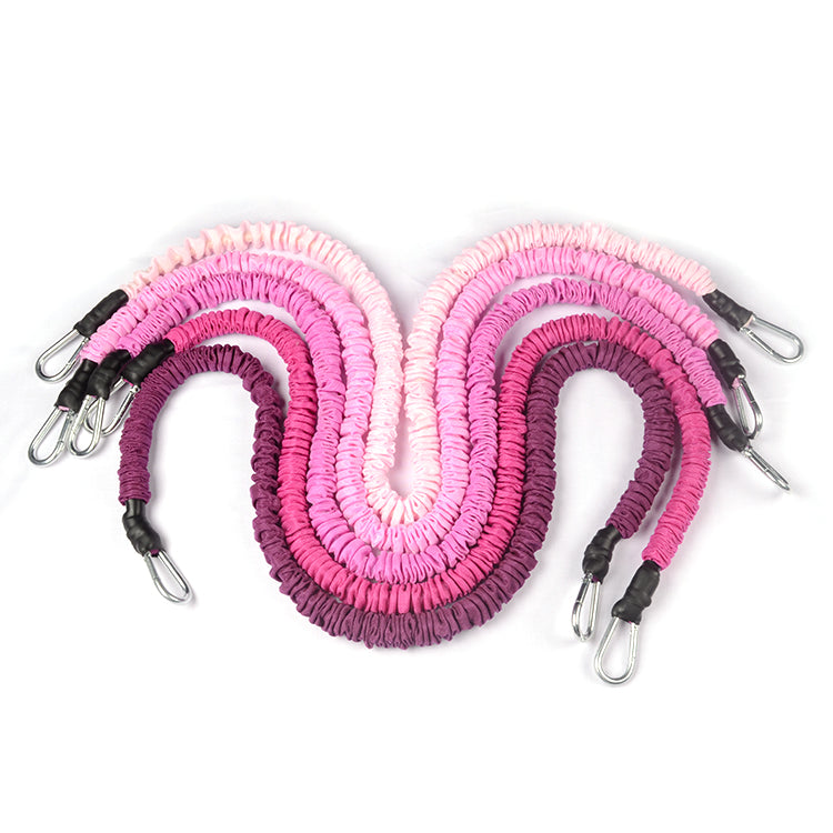 FDW AS8110 Set of ten resistance bands - With bag