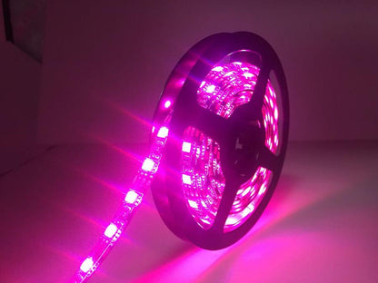NÖRDIC LED-5M RGB LED strip met afstandsbediening, 5 meter, 300 LED's/m, Zelfklevend, 20 kleuren